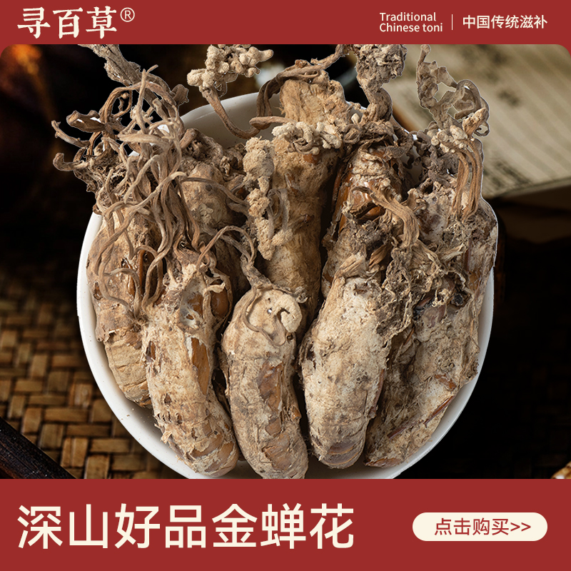 寻百草金蝉花中药材500g野生新货