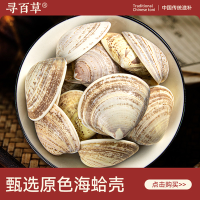 寻百草海蛤壳中药材500g