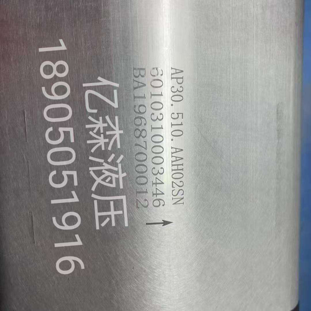 国产替代BLUEASCEND土耳其AP30/AP20系列齿轮泵AP30.510.AAH02SN