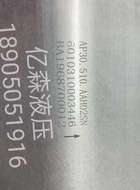 国产替代BLUEASCEND土耳其AP30/AP20系列齿轮泵AP30.510.AAH02SN