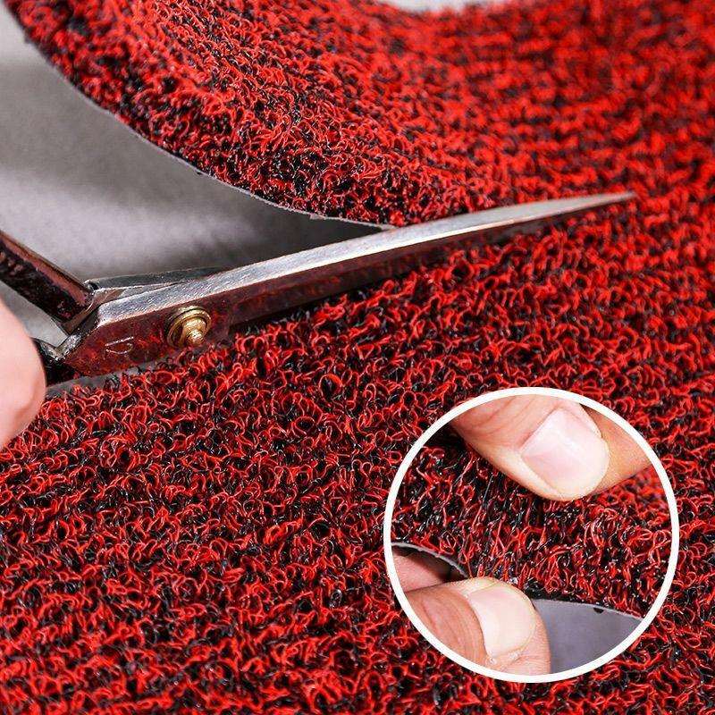 入户门丝圈地垫进门大门门口蹭脚垫子踩地毯家用门厅入门入户门垫