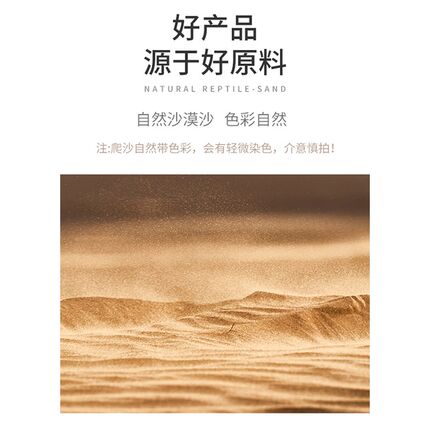 WACOOL玩酷爬沙爬宠沙钙沙陆龟守宫蜥蜴饲养箱造景冬季冬眠用品