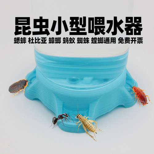 昆虫小型喂水器 白蟋蟀喝水器 油葫芦专用饮水盆 多尺寸昆虫水盆