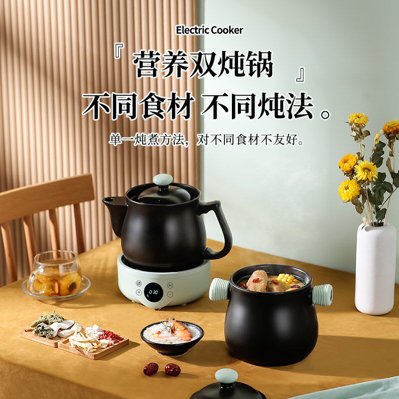 熬药电砂锅煎药全自动分体中药电煎壶家用熬药熬汤两用养生电炖锅