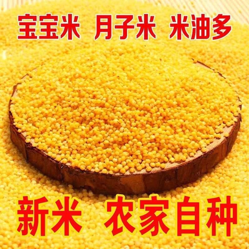 【新米】赤峰黄小米月子米宝宝米小米煮粥小米批发小黄米真空包装