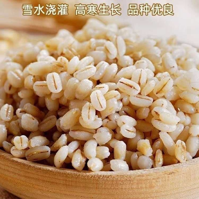 新白青稞米5斤 农家自种青海粮食去皮蓝青稞米青稞麦仁香米半斤