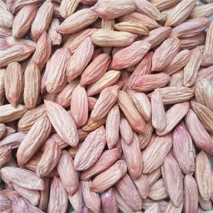 2025新鲜山东新瘪花生米生的新小花生米农家批发生瘪子花生零食