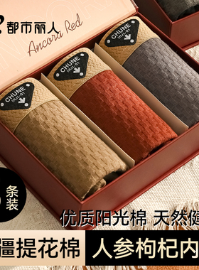 都市丽人男士内裤纯棉2025新款宽松透气青少年男生式四平角短裤头