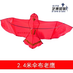 潍坊风争大型伞布老鹰风s筝高档成人儿童立体微风易飞初学者套餐