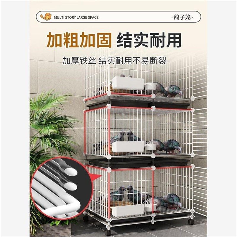 鸽子笼家用特大号养鸽子笼巢箱新型养殖柯尔鸭配对笼鸽舍鸽笼