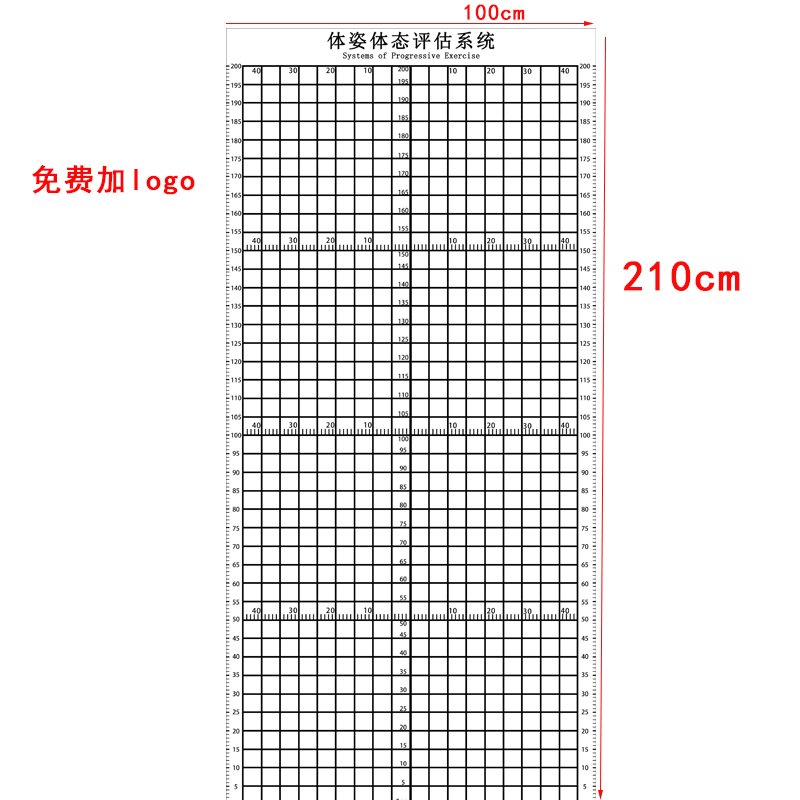 体态评估表工作室健身房瑜伽馆墙纸壁纸体测图私教评估图定制壁画