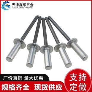 扁圆头沉头铆钉 铝制封闭型抽芯铆钉M3.2M4M5M6.4防水拉铆钉密封式