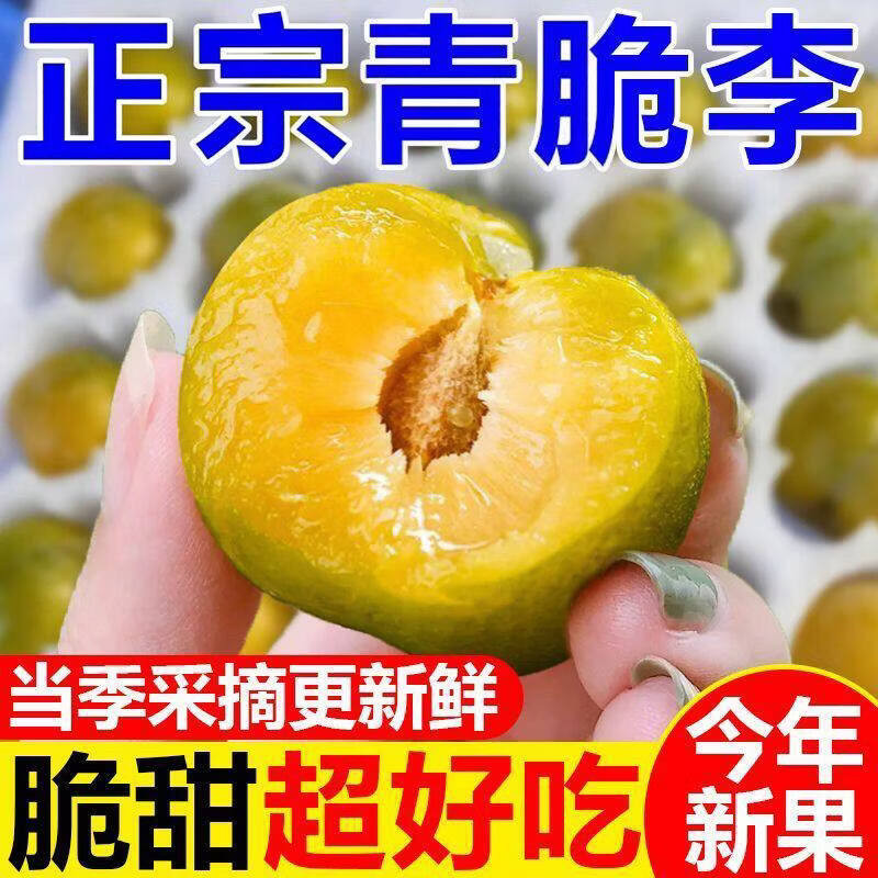 四川脱骨李子青脆李子茵红李空心李土半边红新鲜当季孕妇脆甜水果