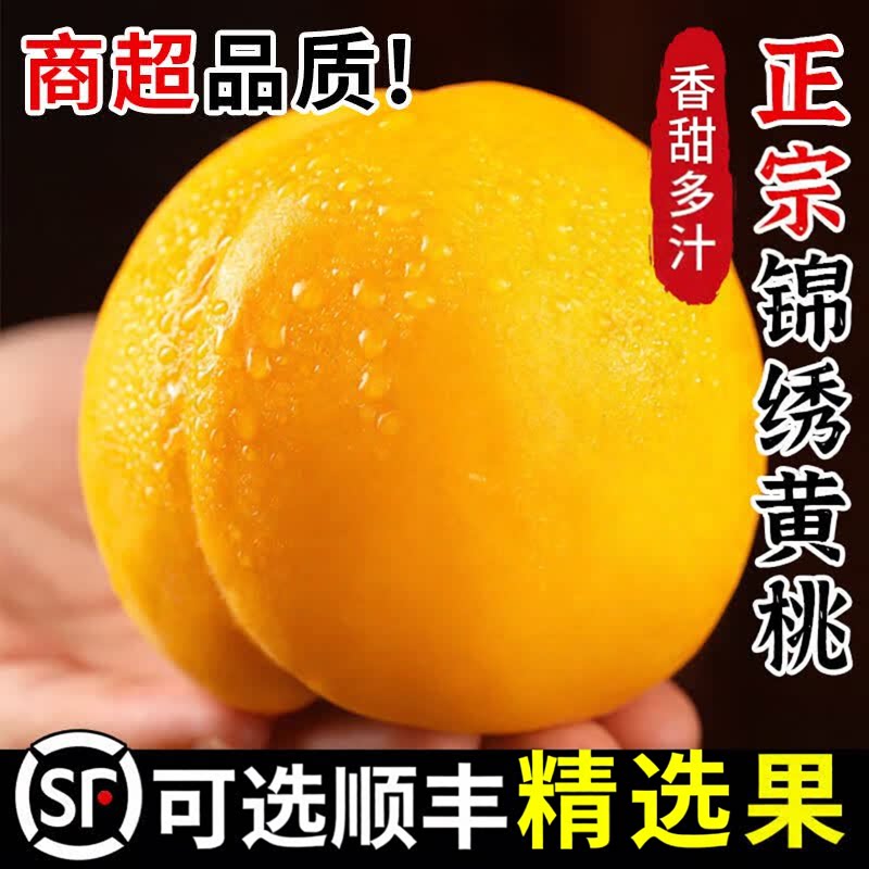正宗锦绣黄桃新鲜脆甜黄金桃子现摘水果整箱当季孕妇软甜脆大桃子