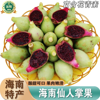 海南仙人掌果实新鲜仙人掌果补花青素宝宝孕妇水果仙人掌青红皮果