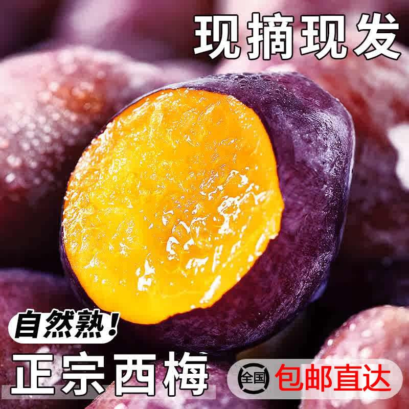 正宗新疆法兰西西梅鲜果整箱当季喀什甜西梅李子整箱脆甜水果西梅