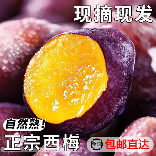 正宗新疆法兰西西梅鲜果整箱当季喀什甜西梅李子整箱脆甜水果西梅