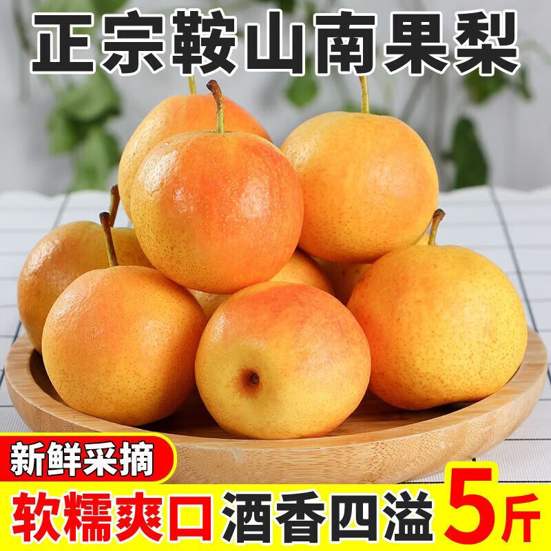 鞍山南果梨东北特产新鲜当季水果海城南国梨香水红皮冻梨孕妇水果