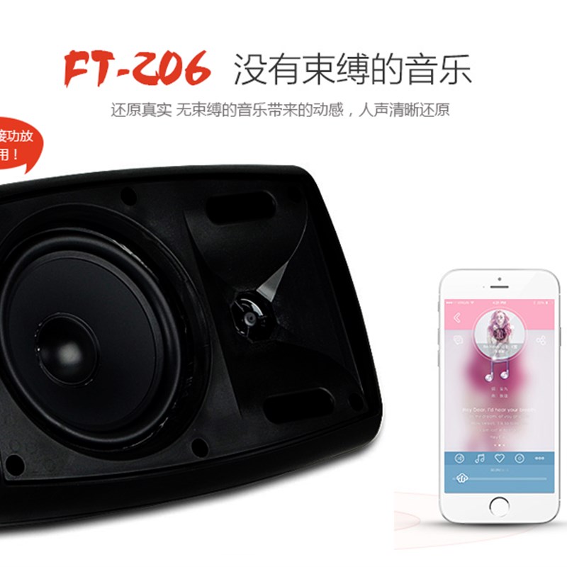 会议壁挂音箱40w背景音乐挂壁喇叭音箱定压定阻可调20w/30w