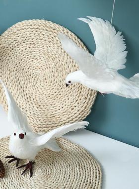 和平鸽真天雅成美信鸽白鸽婚庆商场装饰鸽子羽毛制作展翅