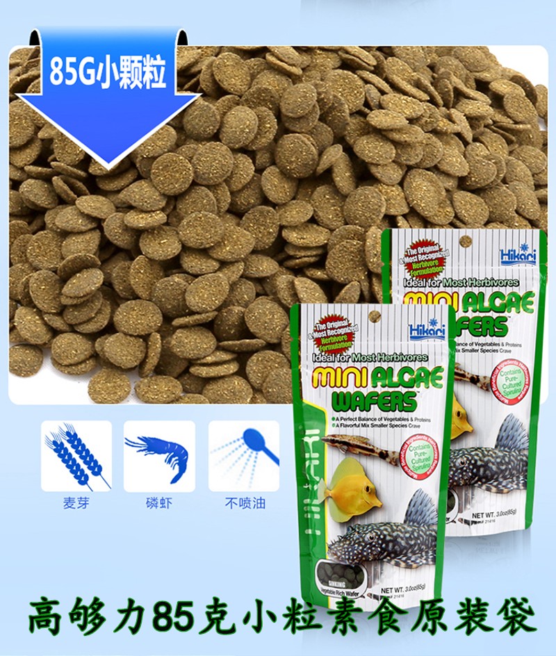 高够力三间鼠鱼异型鱼素食肉食沉底饲料六角龟类观赏虾类片状鱼食