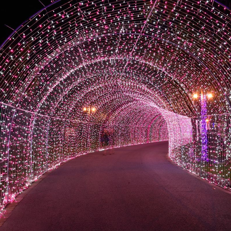 LED彩灯闪灯串灯七彩变色户外防水房间婚庆圣诞新年满天星装饰灯