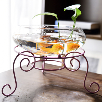 水培花盆玻璃无孔创意乌龟鱼缸碗莲睡莲一叶莲绿萝铜钱草水养植物