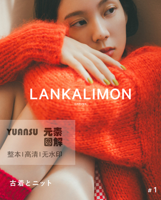 横田DarumaLankalimon编织书