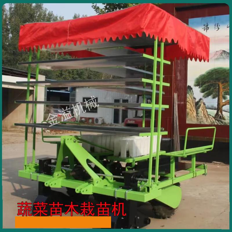 栽苗器移苗器移栽器栽苗器辣椒西瓜烤烟栽苗农用工具蔬菜移栽机