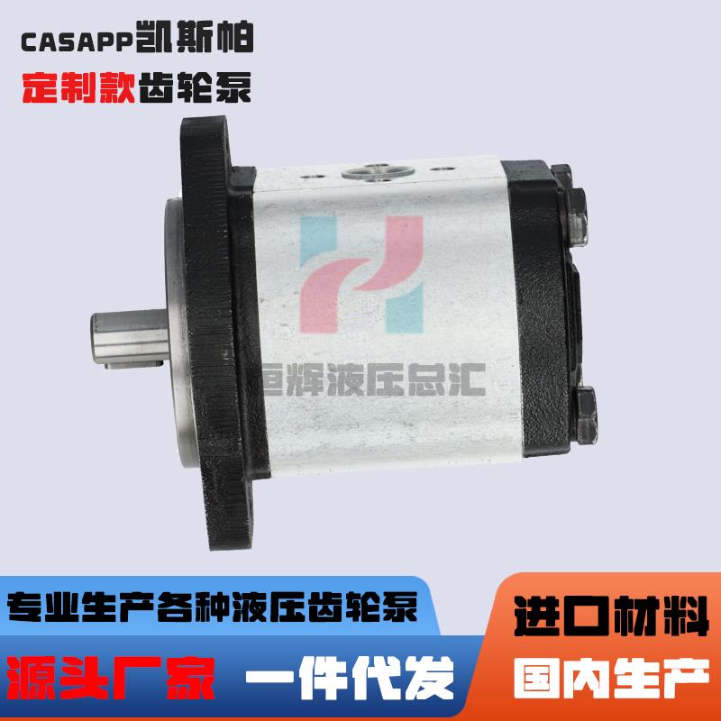 新款凯斯帕齿轮泵PLP10.5SD-29E7 PLP20.4D0-82E2 PLP30 油泵现货