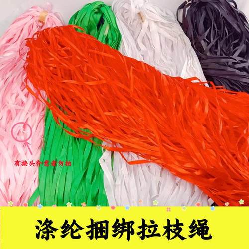 丝带大棚蔬菜吊秧压膜带压膜绳捆绑绳