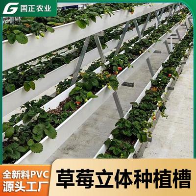 草莓种植槽pvc立体自带排水槽大棚无土栽培设备种植槽立体栽培架