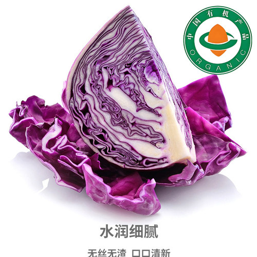 有机认证现摘新鲜紫甘蓝