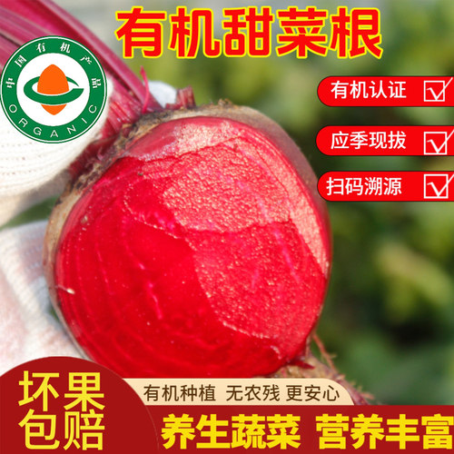 有机认证现拔新鲜甜菜根