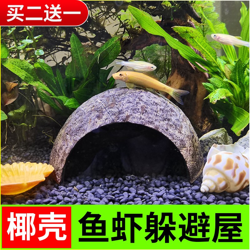 天然椰壳躲避屋鱼虾螃蟹守宫宠物蛇乌龟爬宠蜥蜴蝎子躲避洞穴装饰