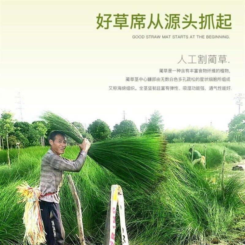 蔺草席折叠1.8m2.0X2.2双人床凉席子1.5米草席芦苇席草编1.3夏1.4