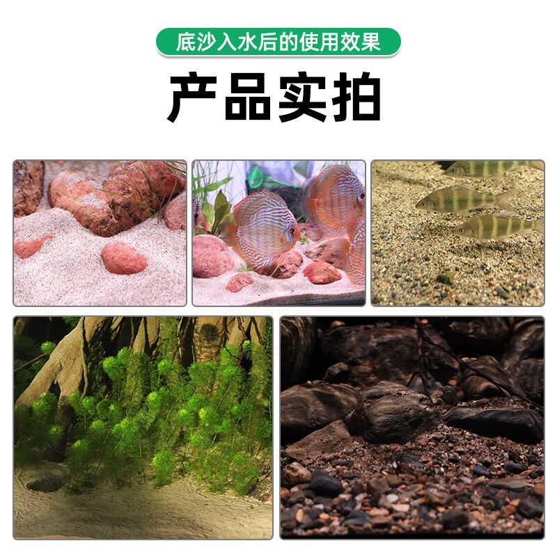 老渔匠鱼缸底部砂石造景装饰雨林沙南美溪流沙石头细沙子乌龟铺底