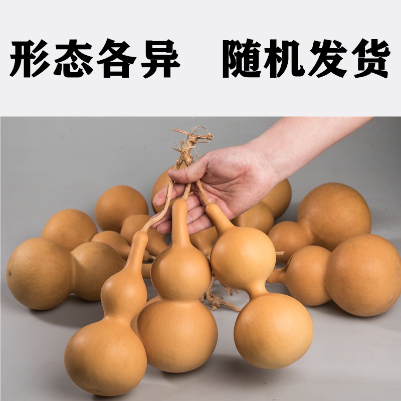 天然真小开口葫芦挂件吊顶装饰烙画练手工艺术品木胡葫芦摆件