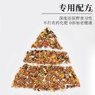 户外布施鸟粮鸟食中小型鸟雀文鸟营养粮混合粮珍珠鸟布谷鸟喂鸟器