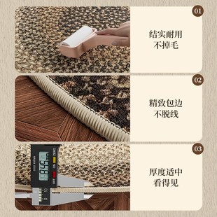 2025新款轻奢比利时绒地毯客厅地垫法式北欧中古风书房地毯可定制
