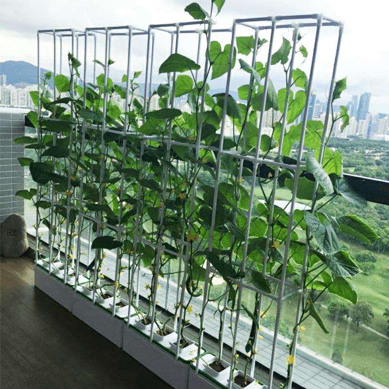 庭家室水内阳台种菜花盆种植箱槽培蔬菜无设土栽培LTB-6100备全自