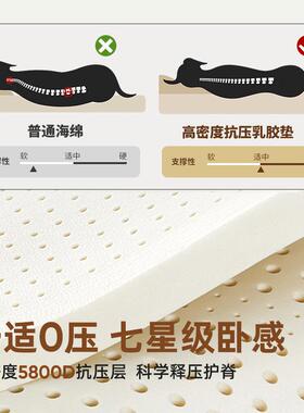 狗防窝大10070533型乳胶犬狗床耐撕咬四季通用可拆洗宠物窝水狗垫