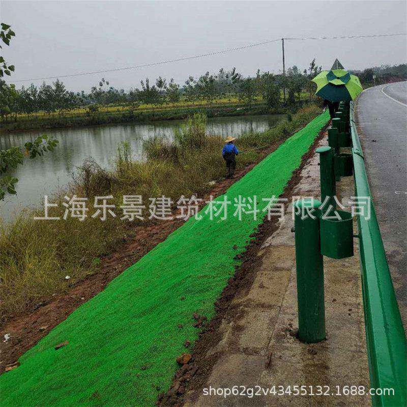 河道堤坝坡面固土喷林播种植QMS三路维植被网园公斜坡绿化草坪盖
