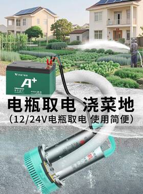 12v大功率抽泵小型家用12伏24水v电直738流潜泵抽水水浇菜农用灌
