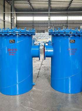 快开式篮N式过滤器SRB-D50-DN00过滤4细网4-3001目兰式管0道除污