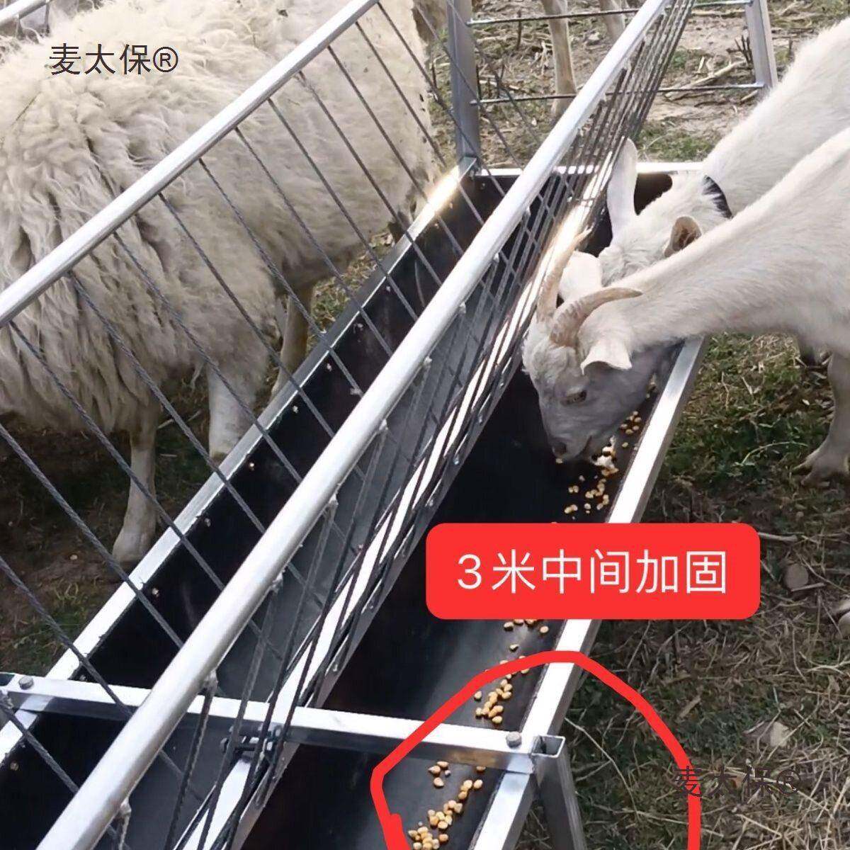 羊子羊食料槽双面槽面槽槽羊羔槽加厚质镀BGR材养羊设备可麦太锌