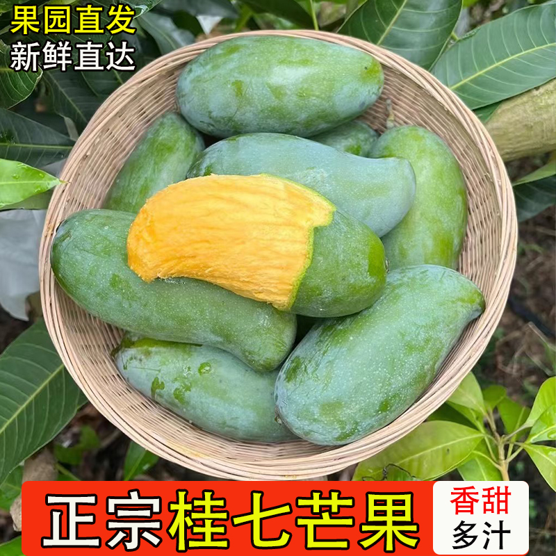 正宗广西桂七芒果新鲜水果应季孕妇水果当季桂七芒果整箱百色桂七