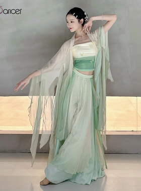 Top Dancer古典舞蹈服女飘逸纱衣古风演出服套装裙裤中国舞练功服