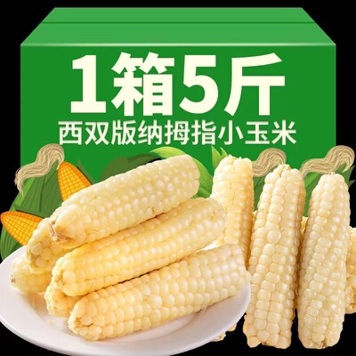 5斤 云南西双版纳拇指小玉米新鲜傣家香糯小手指迷你袖珍儿童玉米