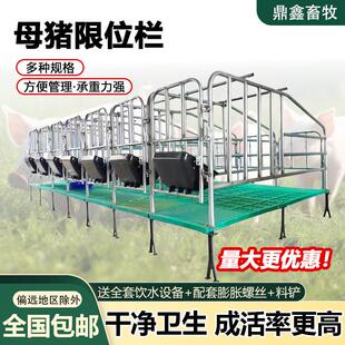 母猪限位栏猪用定位栏落地式带粪板产床栏加厚热镀锌养殖设备新款